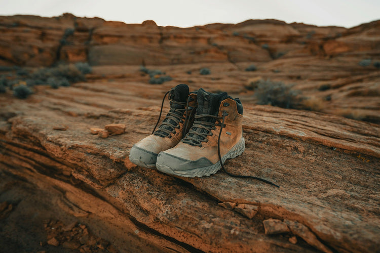 Clothing, Shoes, & Accessories