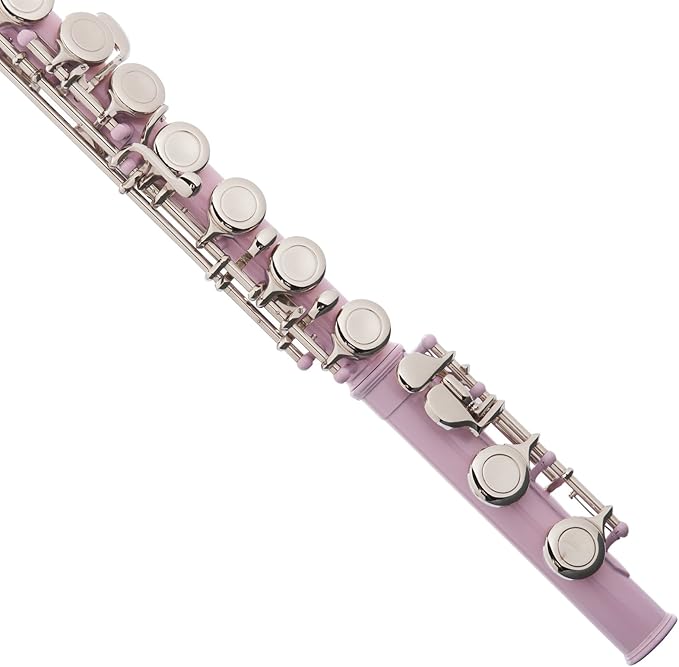 Mendini by Cecilio C Flute 16 Key Close Hole Beginner Kit with Case & Book, Pink (Used)