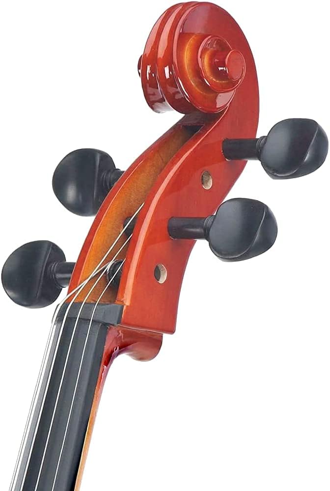 Cecilio CCO-100 Student Cello w/ Soft Case, Stand, Bow, Rosin, Bridge, Size 1/2 (Used)