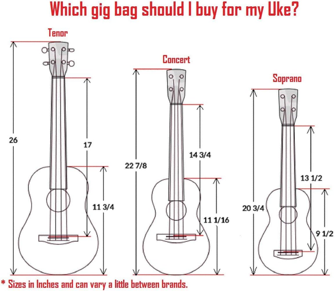 Hola! Heavy Duty SOPRANO (up to 21.5 Inch) Ukulele Gig Bag with 15mm Padding (Used)