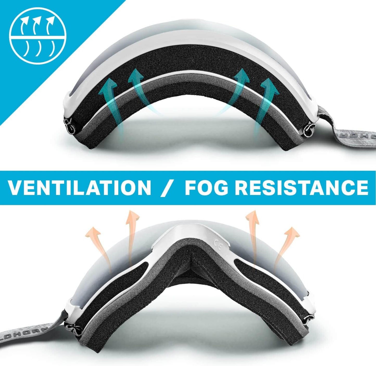 Wildhorn Cristo Ski Goggles Ski Team Official Supplier Snow - Stealth-IceBlue (Like New)