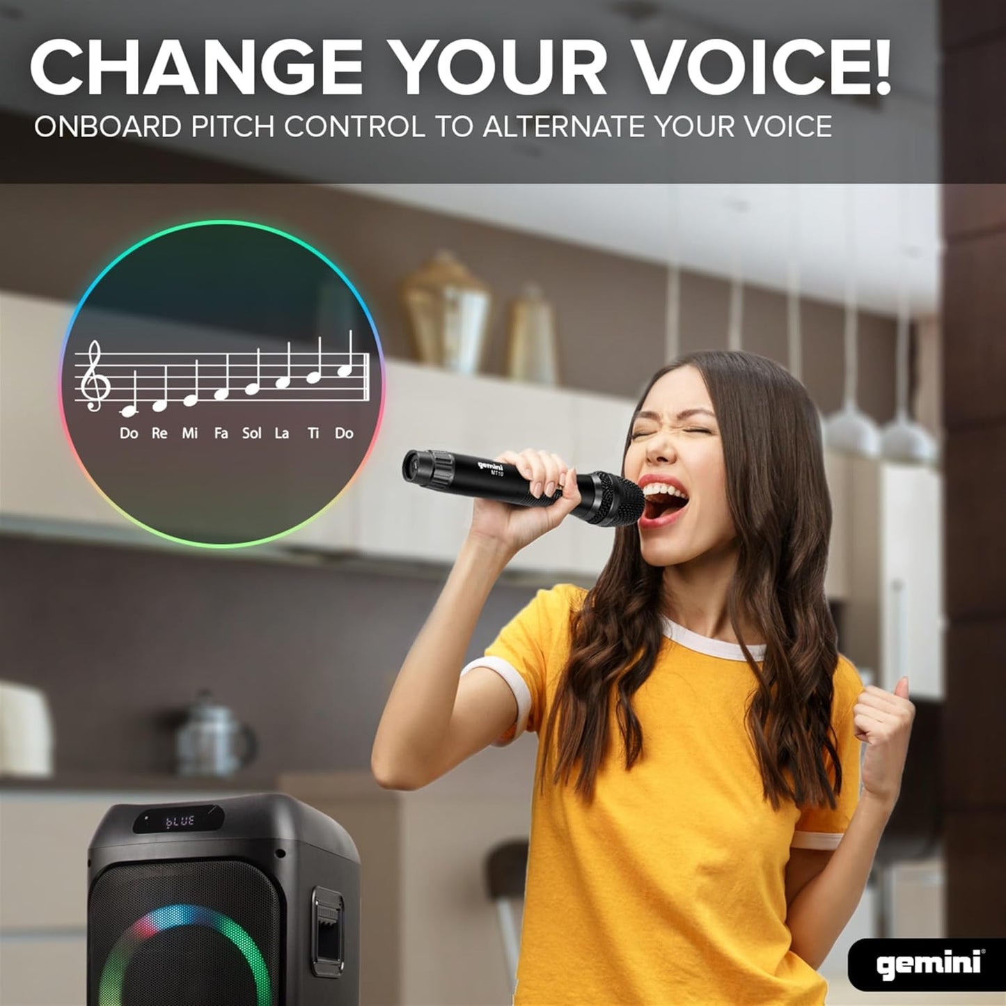Gemini Sound GHK-2800 Party Speaker with Microphone and Remote, Black - Size 8" (Like New)