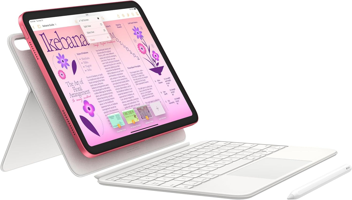 Apple iPad 10th Gen 256GB/4GB 10.9" Liquid Retina Display Wi-Fi 6 Tablet, Silver (New)