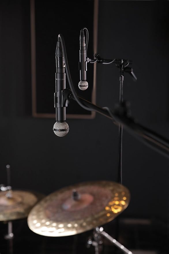 Beyerdynamic M 160 Double Ribbon & Hypercardioid Microphone for Voice Recording (Like New)