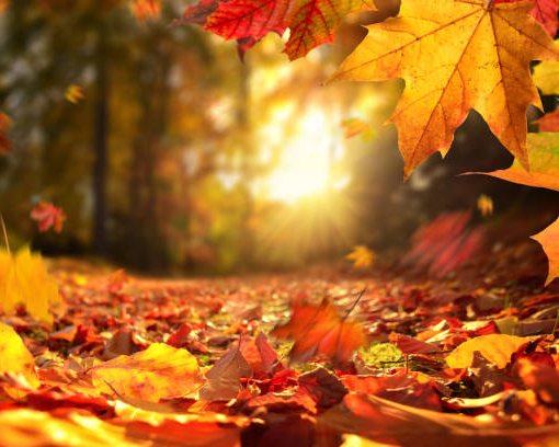 Gear Up For Fall