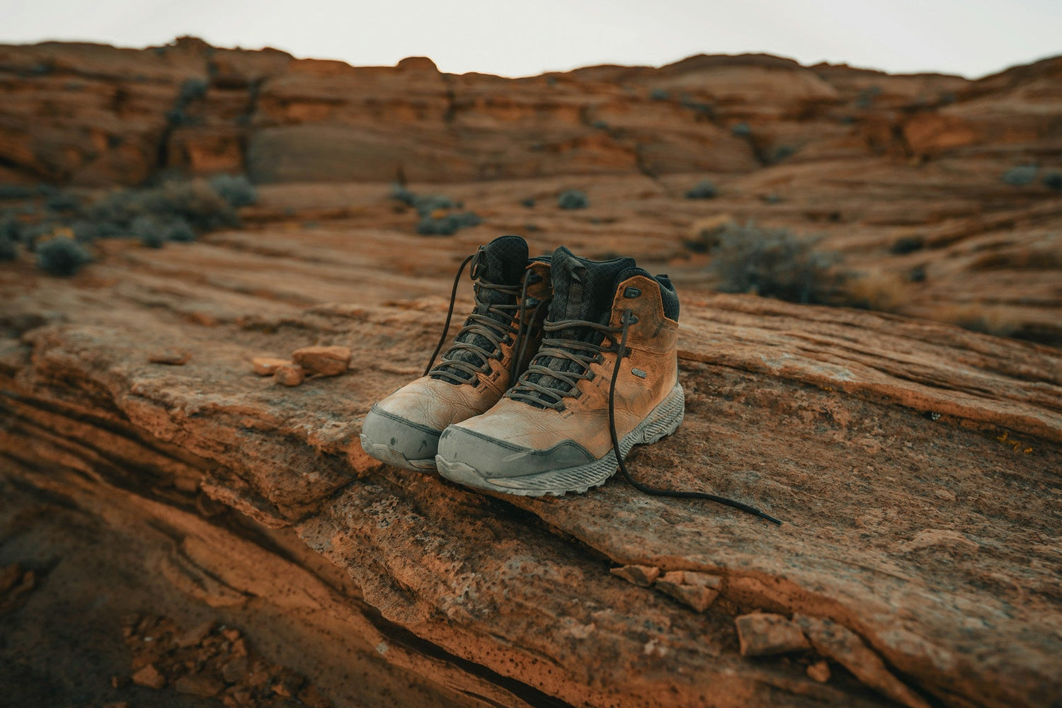Clothing, Shoes, & Accessories