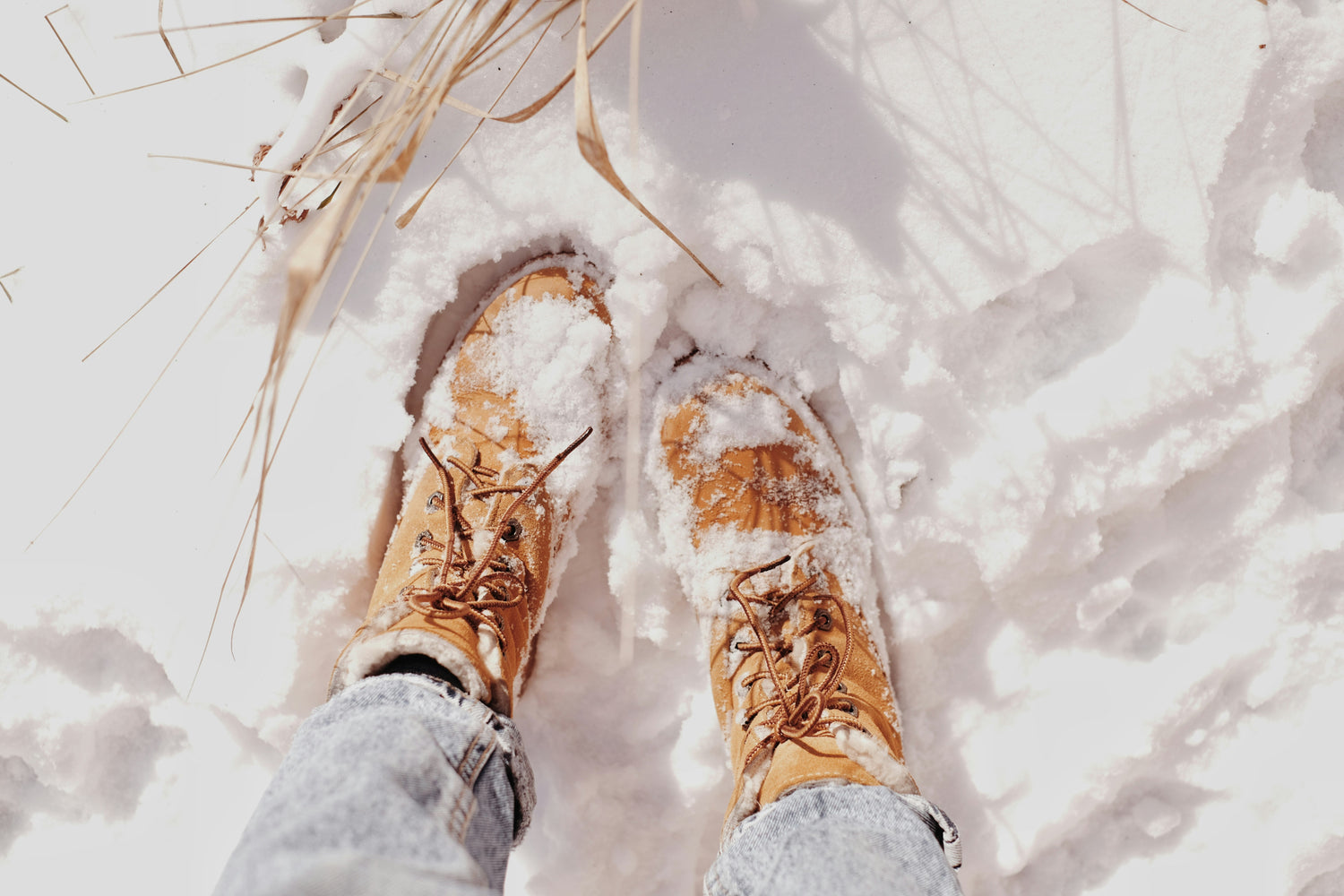 Winter Sports