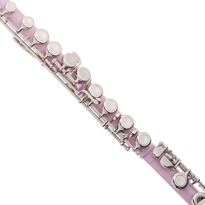 Mendini by Cecilio C Flute 16 Key Close Hole Beginner Kit with Case & Book, Pink (Used)