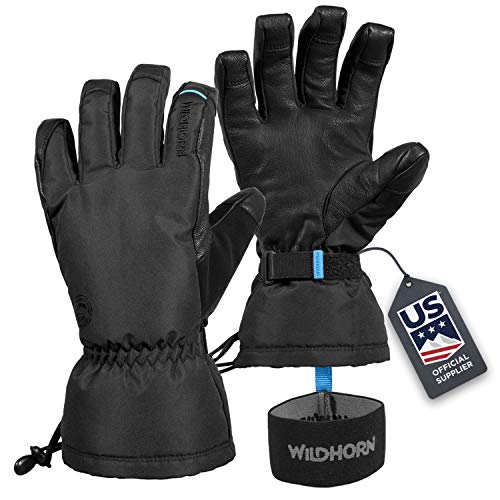 Wildhorn Tolcat Ski Unisex Waterproof Gloves, Touchscreen Compatible - Stealth (Like New)