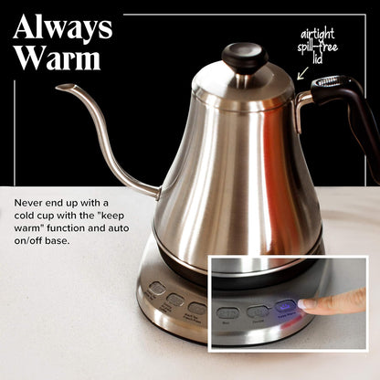 Willow & Everett Gooseneck Electric Kettle w/ Temperature Control, 1L - Silver (New)