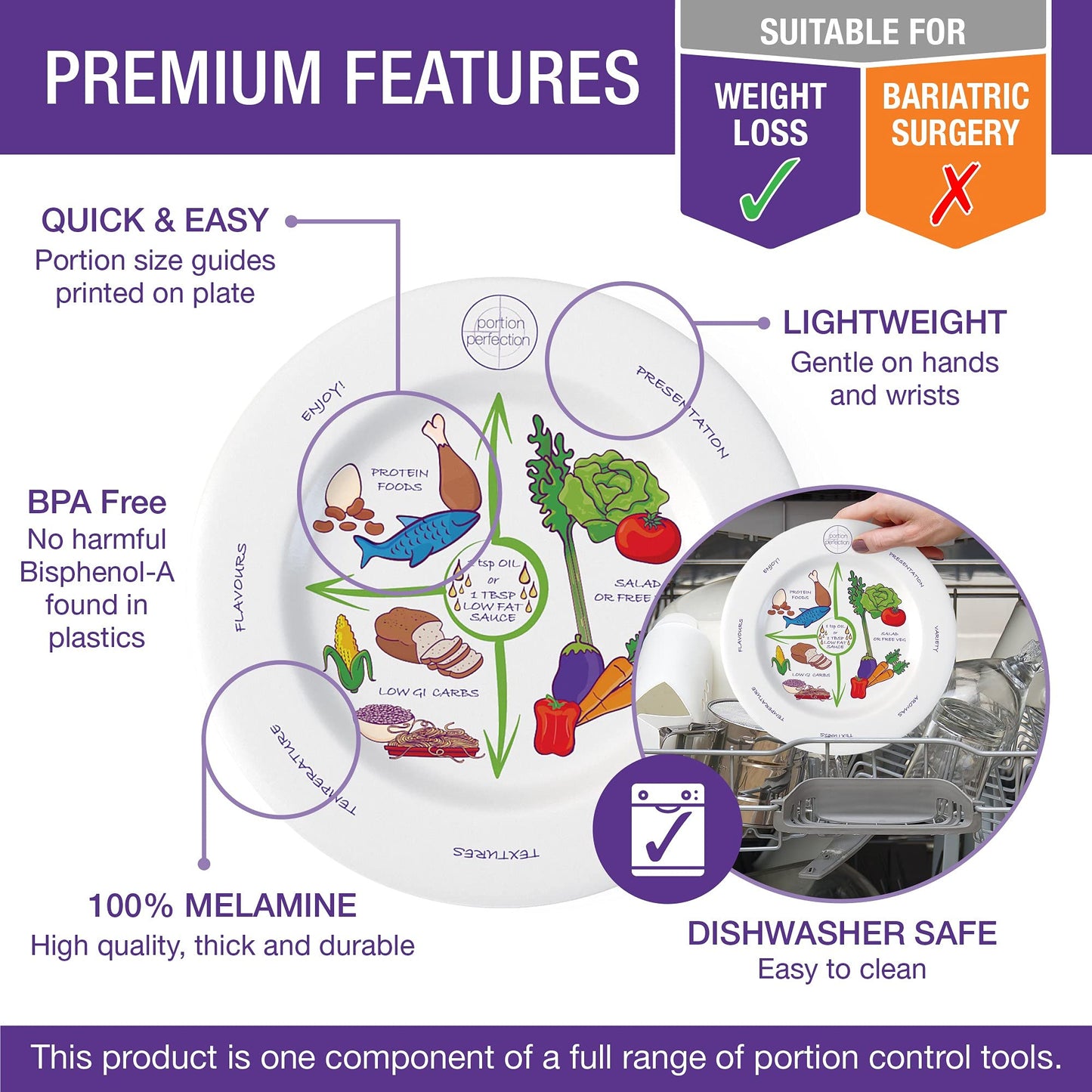 Portion Perfection PORTIONPLATE2 Melamine Round Portion Plate for Weight Control (Like New)