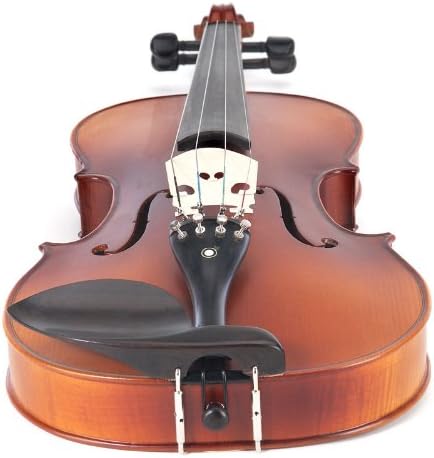 Cecilio CVA-500 Solidwood Ebony Fitted Viola w/D'Addario Prelude Strings - 16 in (Used)