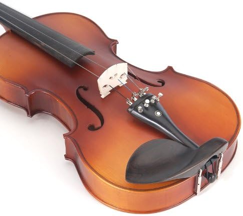 Cecilio CVA-500 Solidwood Ebony Fitted Viola w/D'Addario Prelude Strings - 16 in (Used)