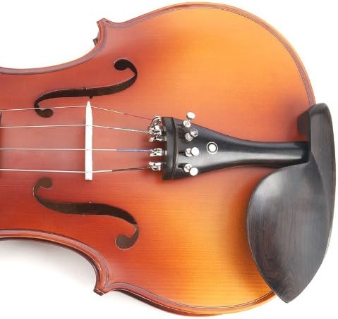 Cecilio CVA-500 Solidwood Ebony Fitted Viola w/D'Addario Prelude Strings - 16 in (Used)