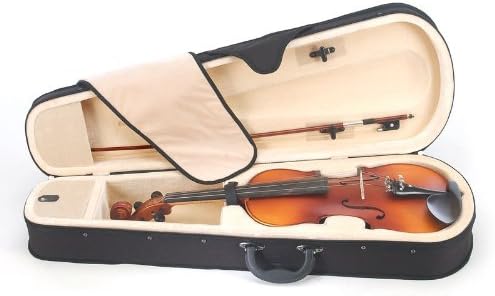 Cecilio CVA-500 Solidwood Ebony Fitted Viola w/D'Addario Prelude Strings - 16 in (Used)