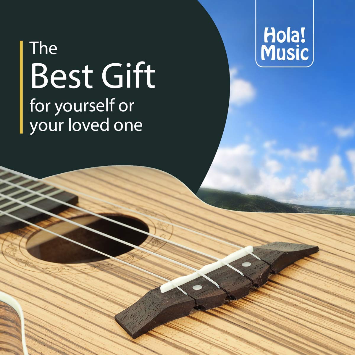 Hola! Music HM-124ZW+ Concert Ukulele Deluxe Series, 24 Inch - Zebrawood (New)