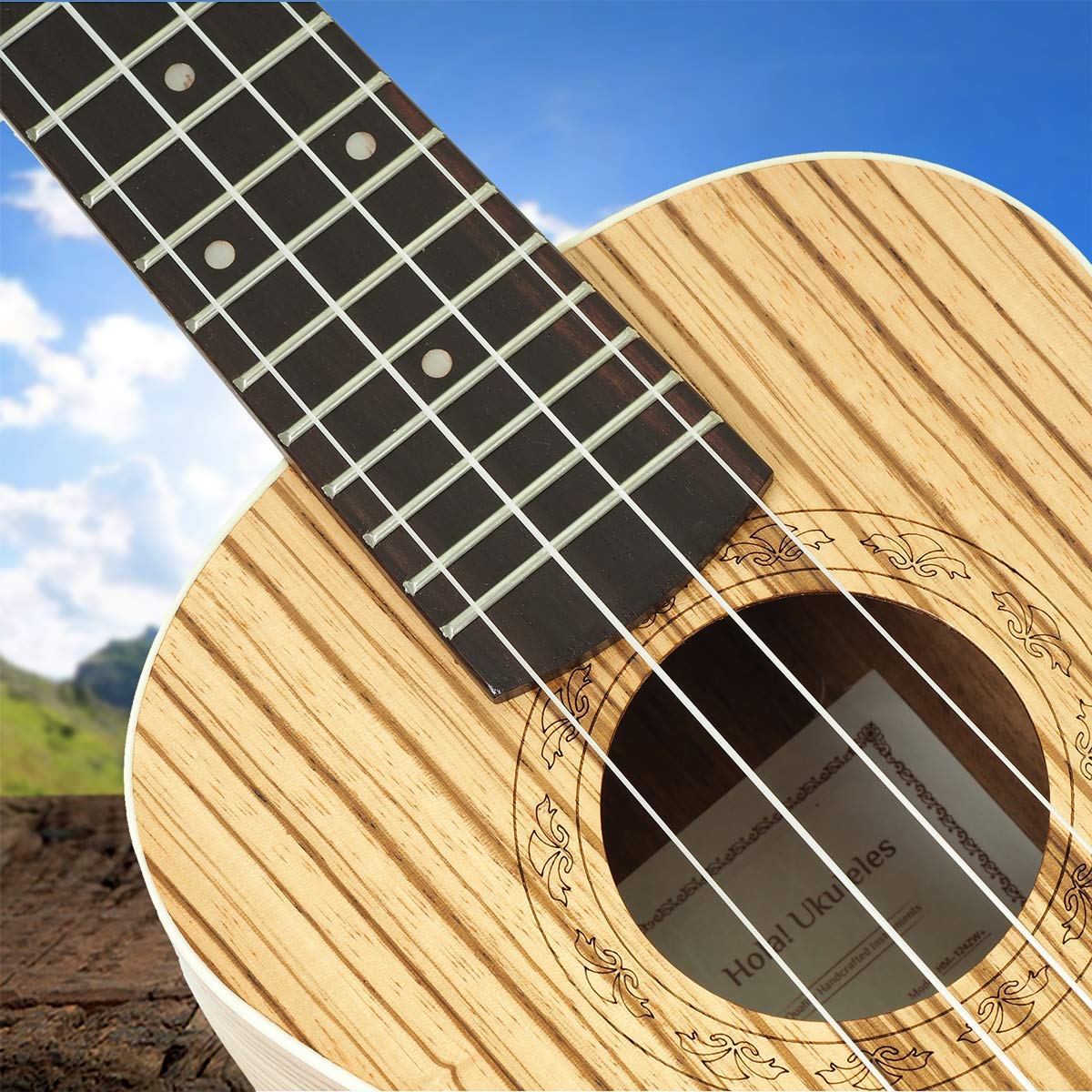Hola! Music HM-124ZW+ Concert Ukulele Deluxe Series, 24 Inch - Zebrawood (New)