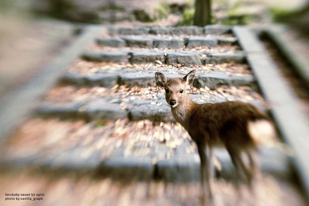 Lensbaby L 3U8C Composer Pro II w/Sweet 50 Optics for Nikon F Connection, Black (Like New)