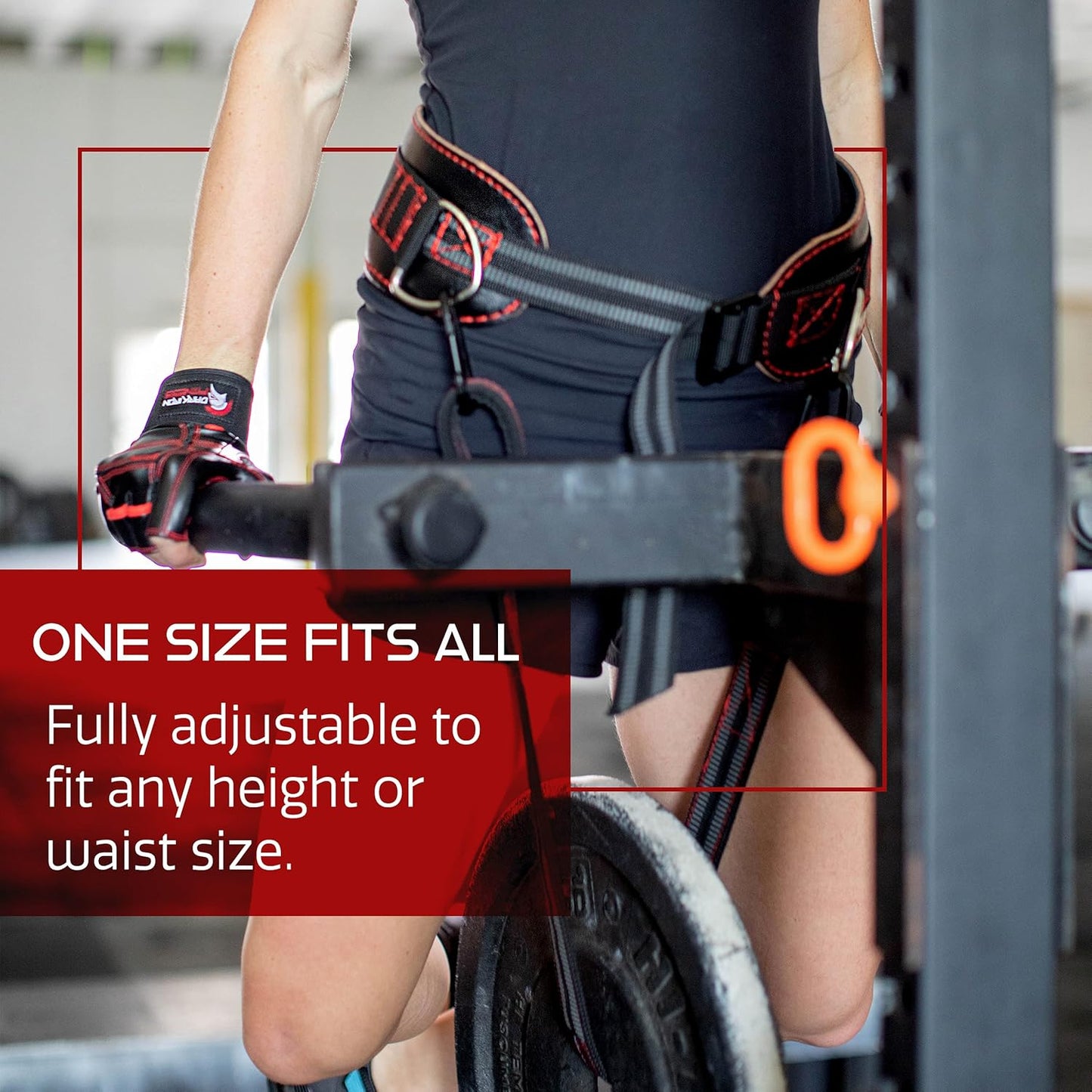 Dark Iron Fitness Padded Leather Weight Lifting Belts for Squats & Pull Ups (Like New)