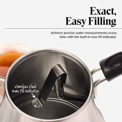 Willow & Everett Gooseneck Electric Kettle w/ Temperature Control, 1L - Silver-- (Used)