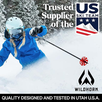 Wildhorn Roca Snowboard & Ski Snow Goggles Lens, Adult - Stone Gray/Silver (Like New, Damaged Retail Box)
