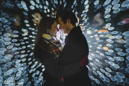 Lensbaby LBCP235CRF Composer Pro II w/Sweet 35 Millimeters Optic for Canon RF (Like New)