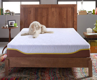 Live and Sleep Elite 3-Layers Gel Memory Foam Bed Mattress, CertiPur Certified (Like New)