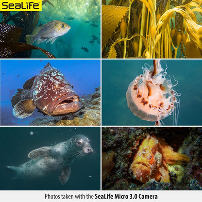 SeaLife Micro 3.0 Pro 3000 Underwater Camera & Light Set for Photography & Video (Used, No Retail Box)