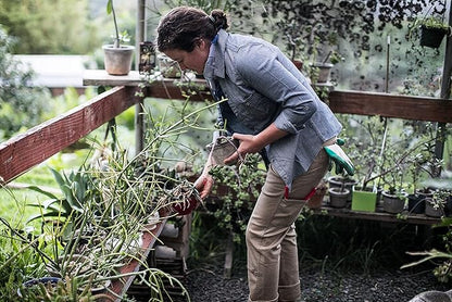 Dovetail Workwear Anna Taskpant Cargo Pants for Women, Khaki Canvas - Size 10 L (Like New)