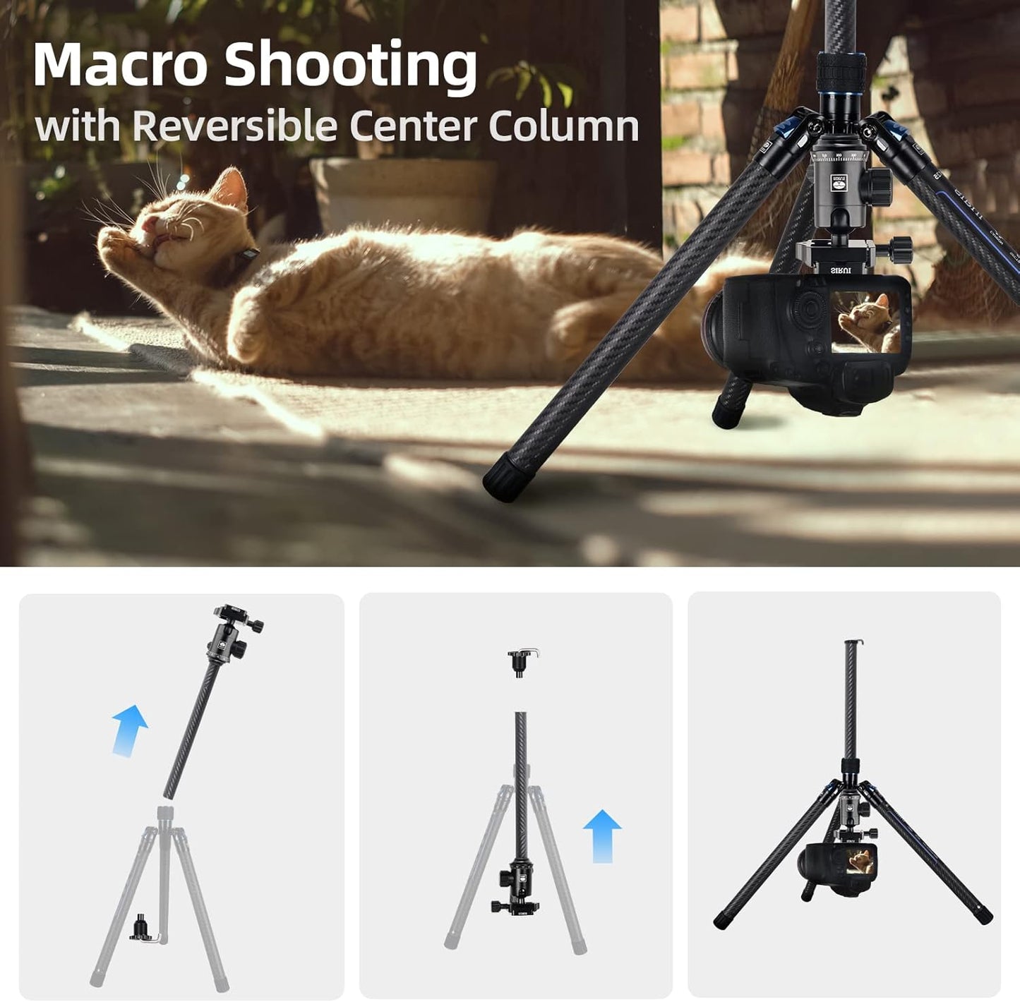Sirui Carbon Fiber Travel Tripod with E-10 360° Ball Head Compatible with Camera (Like New, No Retail Box)