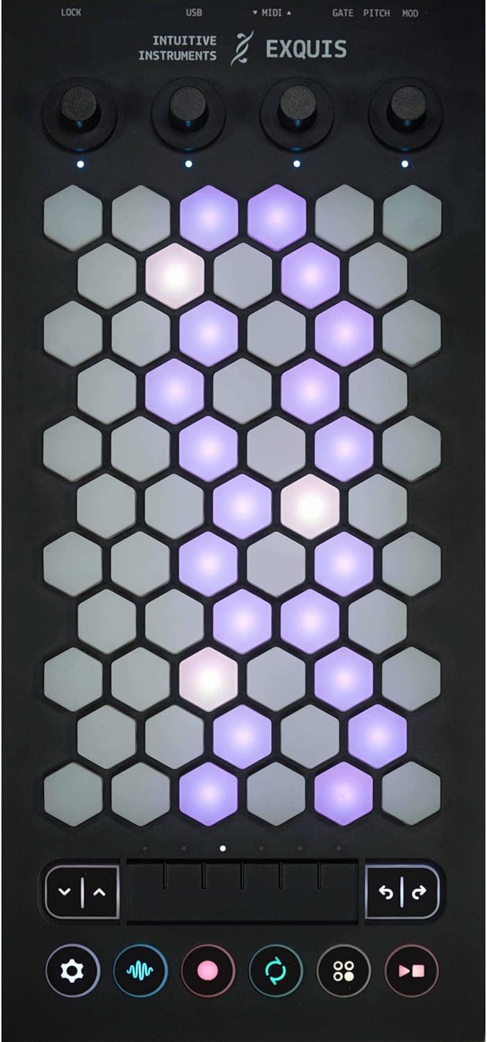 Intuitive Instruments Exquis 61-Keys MPE MIDI Controller, Hexagonal USB Keyboard (Like New)